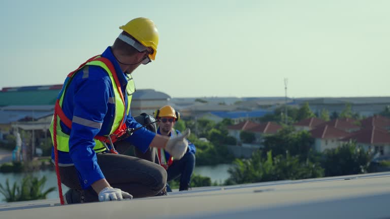 Best Asphalt Shingles Roofing  in Mauriceville, TX